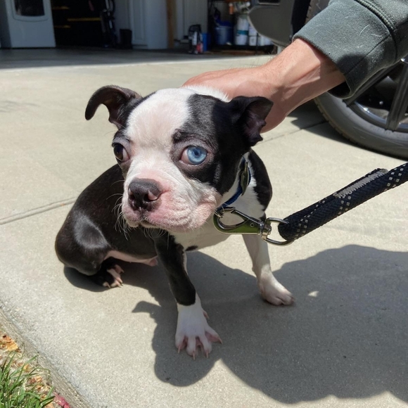 Meet your Posher, Richard - Picture 3 of 3